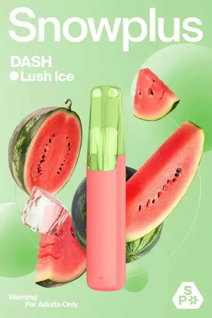 Snowplus DASH 4000口｜體現輕盈空氣包裹感｜長效定壓一次性電子煙替換方案