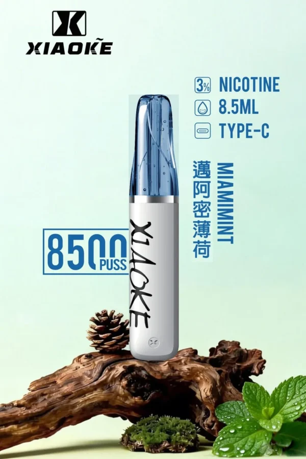 XIAOKE 梟客 8500口 拋棄式電子煙｜輕盈便攜霧化體驗｜穩定輸出打造日常順滑口感