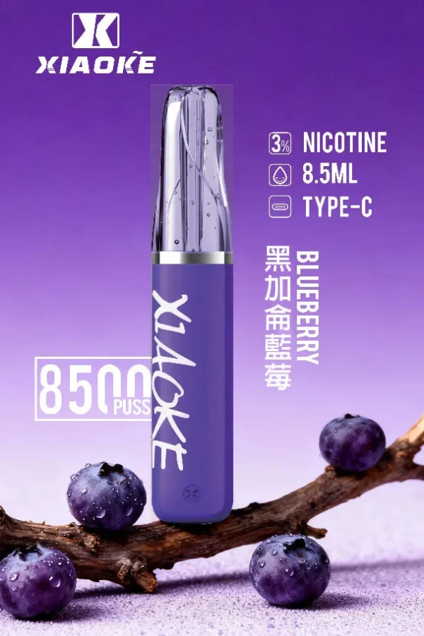 XIAOKE 梟客 8500口 拋棄式電子煙｜輕盈便攜霧化體驗｜穩定輸出打造日常順滑口感