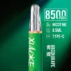 XIAOKE 梟客 8500口 拋棄式電子煙｜輕盈便攜霧化體驗｜穩定輸出打造日常順滑口感