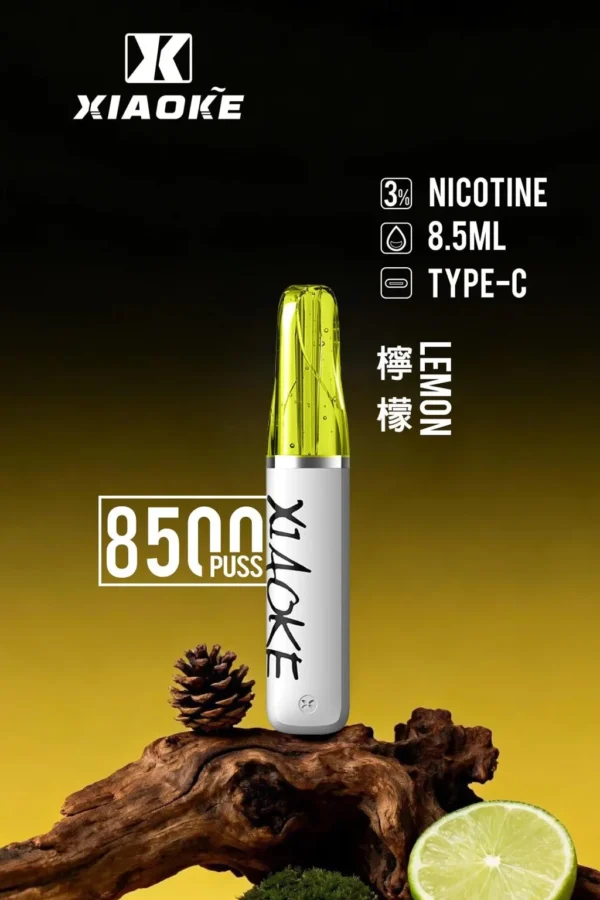 XIAOKE 梟客 8500口 拋棄式電子煙｜輕盈便攜霧化體驗｜穩定輸出打造日常順滑口感